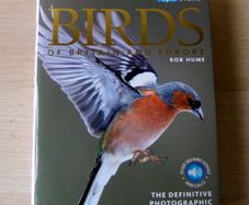 DK Birds