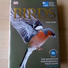 DK Birds