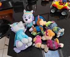 paw patrol