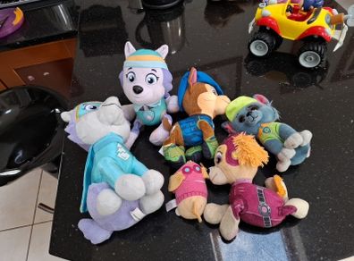 paw patrol
