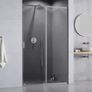 Zarya Chrome 100 Shower Door Image 2