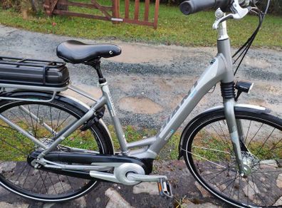 ebike  giant