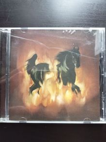 The Besnard Lakes are the Dark Horse CD