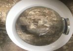 Candy Washing Machine Door