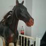 sindy house  horse,doll,car,furniture Image 6