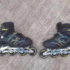Crane Roller Blades