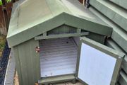 Kingspan insulated dog kennel