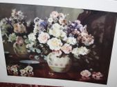 IRISES AND CAMELLIAS