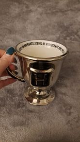 Harry Potter Silver Goblet