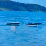 Seascape depicting small boats moored in a calm harbour with hills in the background unsigned Image 3