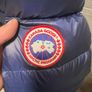 canada goose Image 2