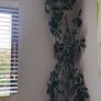 houseplant Image 3