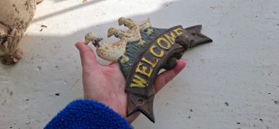 Vintage cast iron Duck wall hook