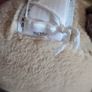 Jellycat Iris Siamese Cat BNWT Image 7