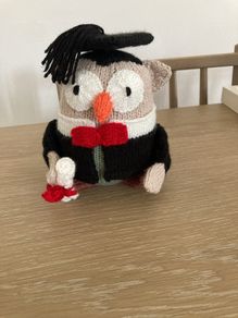 Hand knit graduation owl