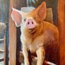 Ignorant Pigs Missed the Goal Image 3