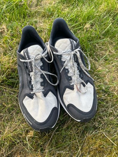 nike pegasus 41 gore tex