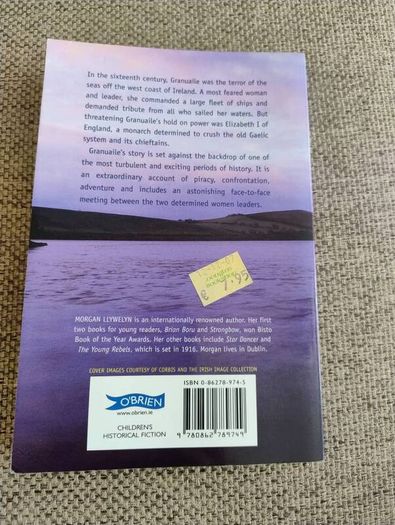 The Pirate Queen Granuaile by Morgan Llywelyn in good condition with some spotting see photos FREE STANDARD POSTAGE INCLUDED