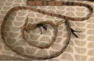 Dog Lead , Collar & Matching Bandanna
