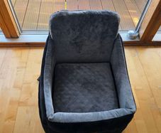 Dog car seat