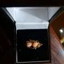 Collectibles and gold Image 2