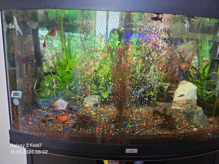 aquarium with fish and full equipment