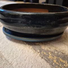 Bonsai pot