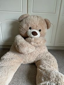 teddy