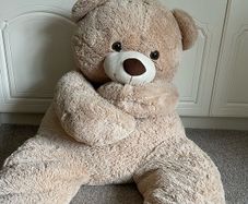 teddy