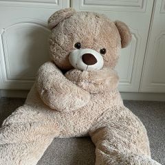 teddy