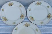 Arklow Pottery Floral Plates x 3