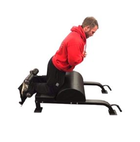 Floor glute ham developer