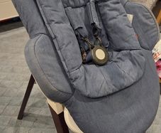 Stokke steps bouncer and high chair