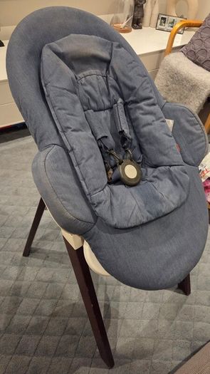 Stokke steps bouncer and high chair