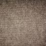 Ypsilon Donna Women's Cardigan Image 4