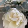ShabbyChic Jug with Flowers Image 3