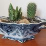 Fabulous Antique Tureen with Cacti Garden - A Fabulous Unique and Decorative Item for Display Indoors Image 3