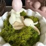 New Bunny in vase with moss Image 4