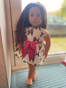 My generation dolls x4 and moana doll plus