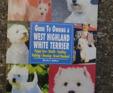 Guide to Owning WestHighland Terrier, Book, Non fiction