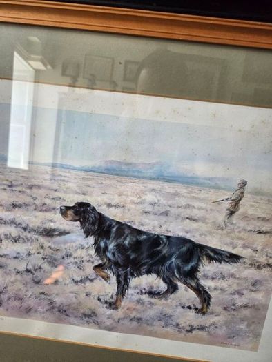 Limited edition print of Gordon Setter