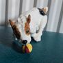 Rare Vintage Royal Doulton Jack Russell Terrier Dog Figurine Image 4