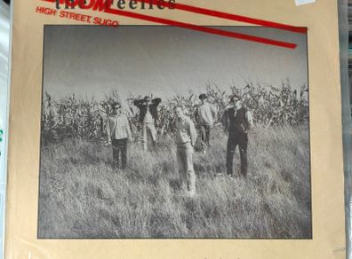 The Feelies LPs