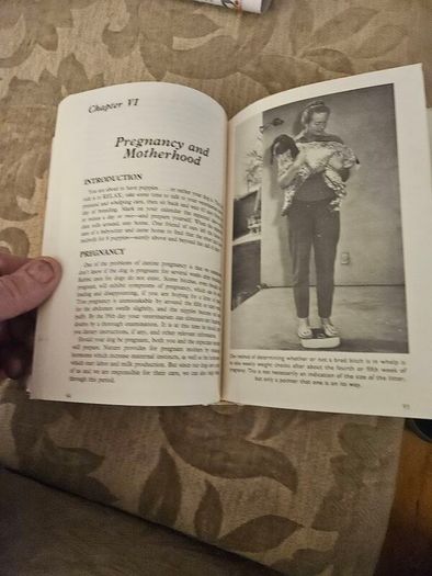 This Is The German Pointer. Shorthaired& Wirehaired. By Louise Zeigler Spirer & Herbert F.spirer. First Edition Hardback In Good Condition.  See Photos For Same.
