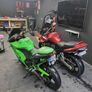 suzuki bandit Image 2