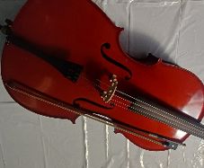Violin