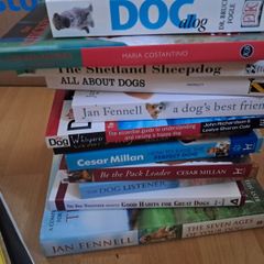 Large Dog Book Job Lot Chicken-Keeping Book