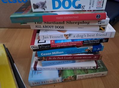 Large Dog Book Job Lot Chicken-Keeping Book