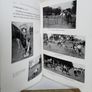 The Young Rider Picture Book by Golden Gorse (PT245) Image 9