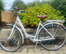 Ladies Bicycle Raleigh